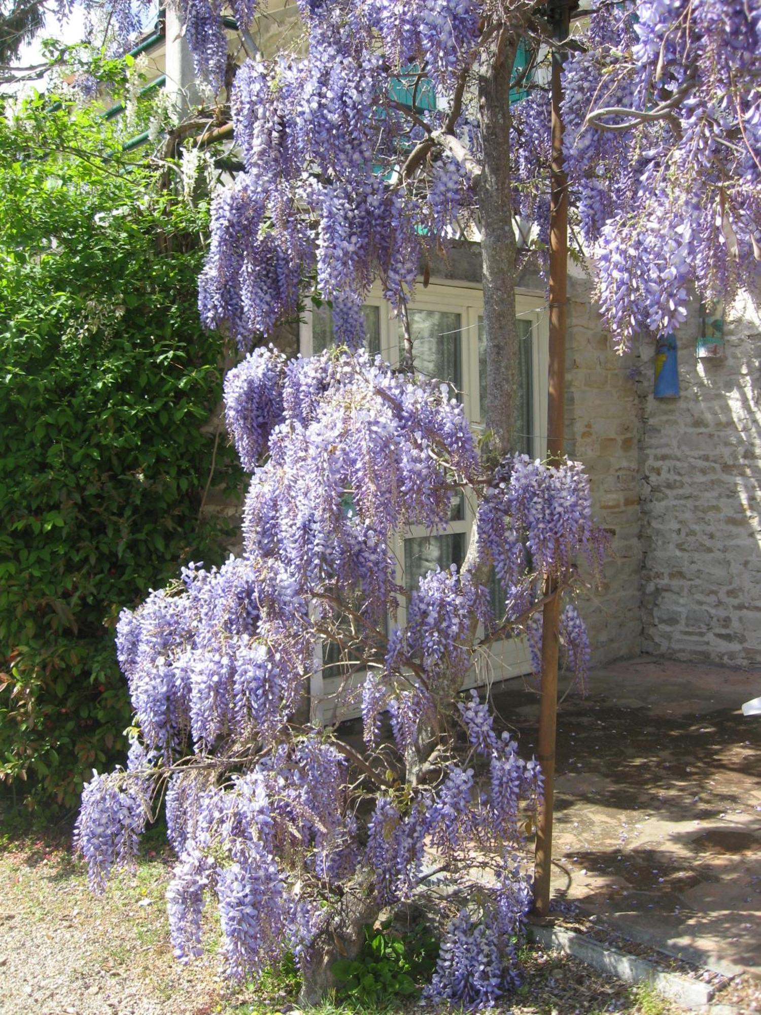 Agriturismo Cascina Serra Коссано-Бельбо Экстерьер фото
